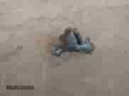 2008 Chevrolet Malibu 1FL с VIN 1G1ZG57B284234550, выставлен на аукционе IAAI как лот 42956236 с пробегом 151 939 миль миль и . История ставок и продаж доступна на DreamBid. Изображение 12.