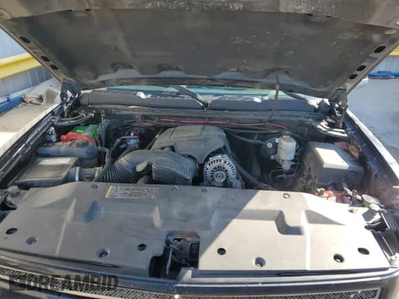 2008 Chevrolet Silverado 1500 2LT with VIN 2GCEC13J681168426, listed as a Copart auction lot 53310335 with Not provided miles and Salvage title. Bid and sale history available at DreamBid. Image 11.