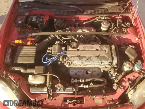 1997 Honda Civic with VIN JHMEG2176VS000152, listed as a Copart auction lot 81164344 with 187,903 mi miles and Salvage title. Bid and sale history available at DreamBid. Image 11.