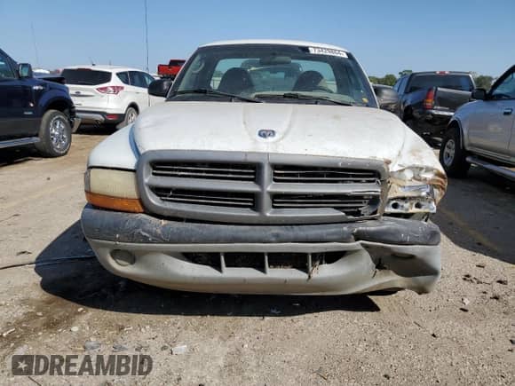 1999 Dodge Dakota SLT with VIN 1B7FL26X0XS273052, listed as a Copart auction lot 73429864 with 177,094 mi miles and Salvage title. Bid and sale history available at DreamBid. Image 5.