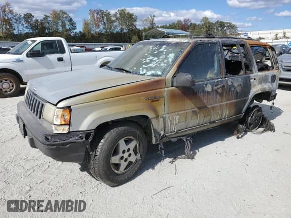 1994 Jeep Grand Cherokee Laredo with VIN 1J4GZ58S0RC357210, listed as a Copart auction lot 78272254 with Not provided miles and Salvage title. Bid and sale history available at DreamBid. Image 1.