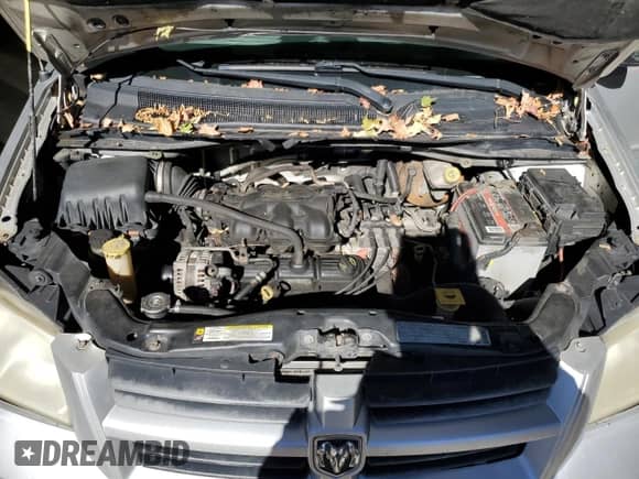 2010 Dodge Grand Caravan SE with VIN 2D4RN4DE5AR364978, listed as a Copart auction lot 87020355 with 177,743 mi miles and Salvage title. Bid and sale history available at DreamBid. Image 12.