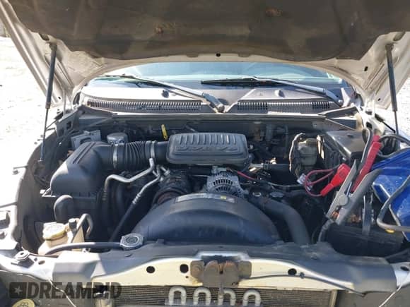 2006 Dodge Dakota SLT with VIN 1D7HE48K76S610868, listed as a IAAI auction lot 42542808 with 244,951 mi miles and . Bid and sale history available at DreamBid. Image 10.