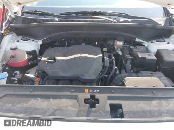 2023 Hyundai Santa Fe XRT with VIN 5NMS6DAJ1PH526783, listed as a IAAI auction lot 42891975 with 45,761 mi miles and . Bid and sale history available at DreamBid. Image 10.