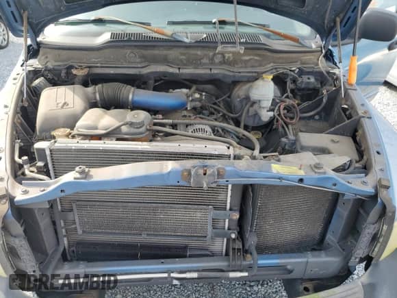 2002 Dodge 1500 z VIN 1D7HA16N52J253620, wystawiony jako Copart lot #81501135 z przebiegiem Nie podano mil oraz Czysty tytuł • Clean title. Historia ofert i sprzedaży dostępna na DreamBid. Obrazek 11.