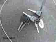 2004 Chevrolet Silverado 1500 LS z VIN 1GCEC14T04Z207142, wystawiony jako IAAI lot #43287067 z przebiegiem 177 529 mil mil oraz . Historia ofert i sprzedaży dostępna na DreamBid. Obrazek 11.