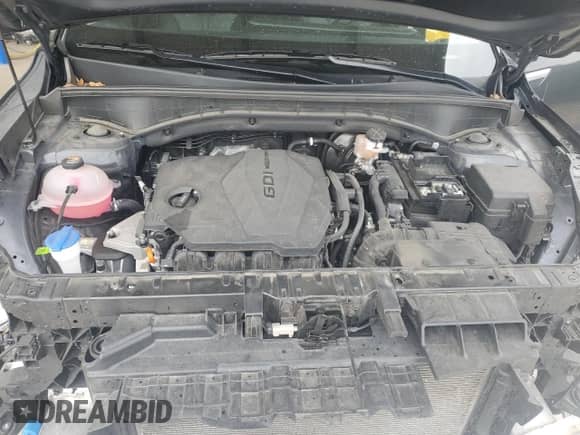 2024 Kia Sorento S with VIN 5XYRL4JC6RG286748, listed as a Copart auction lot 83995015 with 26,500 mi miles and Clean title. Bid and sale history available at DreamBid. Image 11.