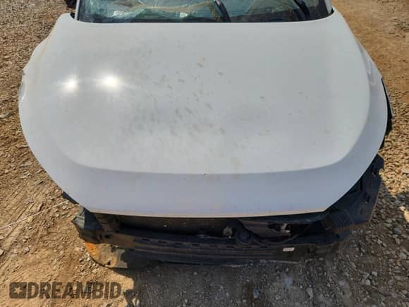 2019 Hyundai Tucson SE с VIN KM8J23A46KU842883, выставлен на аукционе Copart как лот 81144025 с пробегом 74 595 миль миль и Списание • Salvage title. История ставок и продаж доступна на DreamBid. Изображение 12.