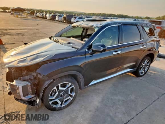 2023 Hyundai Palisade Limited with VIN KM8R54GE5PU532876, listed as a Copart auction lot 70212205 with 66,065 mi miles and Salvage title. Bid and sale history available at DreamBid. Image 1.
