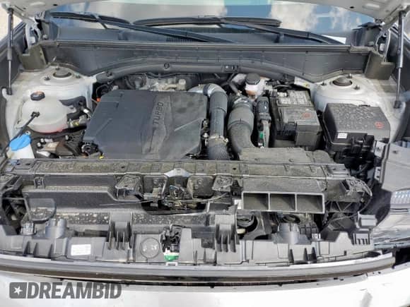 2025 Hyundai Santa Fe SEL с VIN 5NMP24GL7SH092162, выставлен на аукционе Copart как лот 81497125 с пробегом 20 354 миль миль и Чистый • Clean title. История ставок и продаж доступна на DreamBid. Изображение 12.
