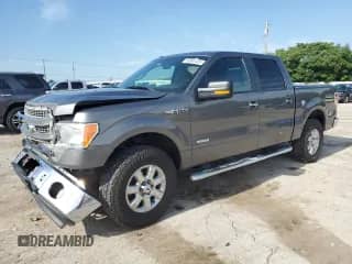 2013 Ford F-150 XL with VIN 1FTFW1ET1DFA29141, listed as a Copart auction lot 58584435 with 178,180 mi miles and Salvage title. Bid and sale history available at DreamBid. Image 1.