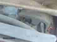 2008 Honda Accord EX with VIN 1HGCP36708A040875, listed as a IAAI auction lot 43282851 with 185,094 mi miles and . Bid and sale history available at DreamBid. Image 19.