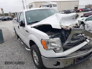 2014 Ford F-150 XL с VIN 1FTEX1CM8EFA47898, выставлен на аукционе IAAI как лот 41589839 с пробегом 267 323 миль миль и . История ставок и продаж доступна на DreamBid. Изображение 1.
