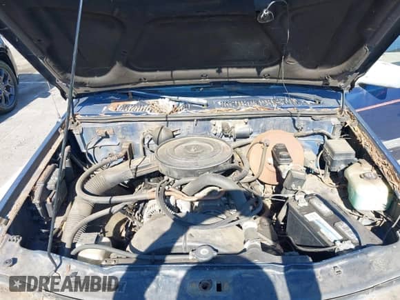 1992 Dodge Dakota SLT z VIN 1B7FL26X9NS643377, wystawiony jako IAAI lot #42844829 z przebiegiem 191 961 mil mil oraz . Historia ofert i sprzedaży dostępna na DreamBid. Obrazek 10.