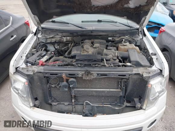 2010 Ford F-150 XL with VIN 1FTFW1EV5AFA79778, listed as a IAAI auction lot 41479278 with 151,031 mi miles and . Bid and sale history available at DreamBid. Image 10.