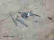 2015 Chevrolet Malibu LT with VIN 1G11C5SL4FF252560, listed as a Copart auction lot 82379285 with 187,138 mi miles and Clean title. Bid and sale history available at DreamBid. Image 12.