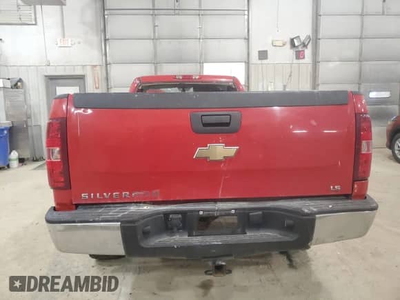 2009 Chevrolet Silverado 1500 Work Truck with VIN 1GCEC14XX9Z220538, listed as a Copart auction lot 48787505 with Not provided miles and Salvage title. Bid and sale history available at DreamBid. Image 6.