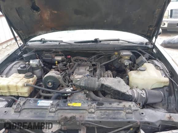1995 Chevrolet Caprice с VIN 1G1BL52P0SR113056, выставлен на аукционе IAAI как лот 42787529 с пробегом 145 477 миль миль и . История ставок и продаж доступна на DreamBid. Изображение 10.
