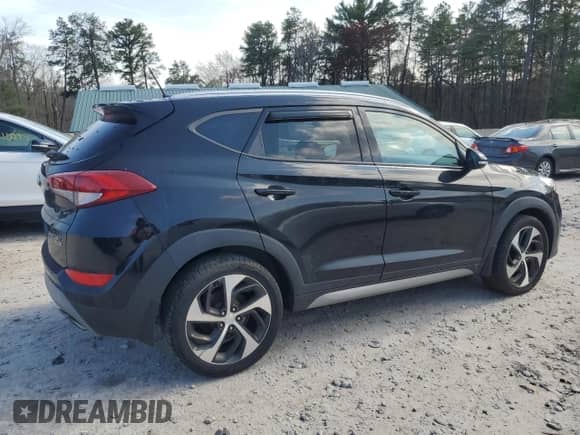 2017 Hyundai Tucson Value with VIN KM8J3CA25HU328530, listed as a Copart auction lot 54379565 with 226,682 mi miles and Salvage title. Bid and sale history available at DreamBid. Image 3.