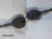 2002 Jeep Wrangler Sahara z VIN 1J4FA59S02P703627, wystawiony jako IAAI lot #42815504 z przebiegiem 144 573 mil mil oraz . Historia ofert i sprzedaży dostępna na DreamBid. Obrazek 11.