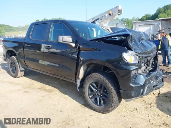 2024 Chevrolet Silverado 1500 Custom Trail Boss z VIN 3GCUDCE84RG425834, wystawiony jako IAAI lot #42396212 z przebiegiem 16 564 mil mil oraz . Historia ofert i sprzedaży dostępna na DreamBid. Obrazek 1.