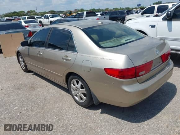 2005 Honda Accord EX-L with VIN 1HGCM66515A014676, listed as a IAAI auction lot 43117077 with 216,049 mi miles and . Bid and sale history available at DreamBid. Image 3.