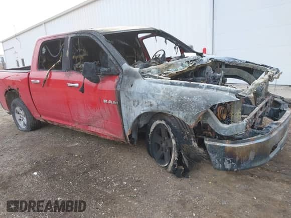 2009 Dodge 1500 SLT with VIN 1D3HV13T59J527076, listed as a IAAI auction lot 41551202 with Not provided miles and . Bid and sale history available at DreamBid. Image 1.