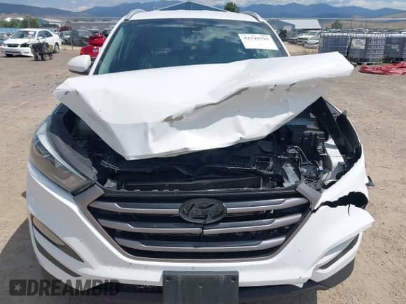 2016 Hyundai Tucson SE с VIN KM8J3CA45GU162610, выставлен на аукционе IAAI как лот 42749795 с пробегом 100 385 миль миль и . История ставок и продаж доступна на DreamBid. Изображение 13.