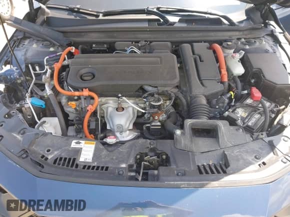 2024 Honda Accord Touring with VIN 1HGCY2F80RA022328, listed as a IAAI auction lot 42455184 with Not provided miles and . Bid and sale history available at DreamBid. Image 10.