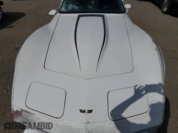 1982 Chevrolet Corvette с VIN 1G1AY8788C5113248, выставлен на аукционе Copart как лот 80637665 с пробегом Не указан миль и Чистый • Clean title. История ставок и продаж доступна на DreamBid. Изображение 11.