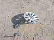 2019 Toyota Camry SE z VIN 4T1B11HK4KU167017, wystawiony jako IAAI lot #43389705 z przebiegiem 106 141 mil mil oraz . Historia ofert i sprzedaży dostępna na DreamBid. Obrazek 11.