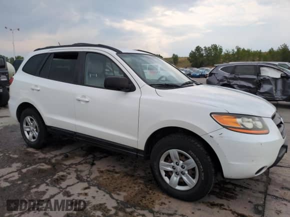 2009 Hyundai Santa Fe GLS с VIN 5NMSG73D49H263083, выставлен на аукционе Copart как лот 65267165 с пробегом 166 971 миль миль и Списание • Salvage title. История ставок и продаж доступна на DreamBid. Изображение 4.