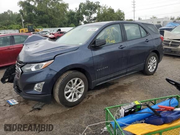 2018 Chevrolet Equinox LS with VIN 3GNAXHEV6JS540439, listed as a Copart auction lot 81704595 with Not provided miles and Salvage title. Bid and sale history available at DreamBid. Image 1.