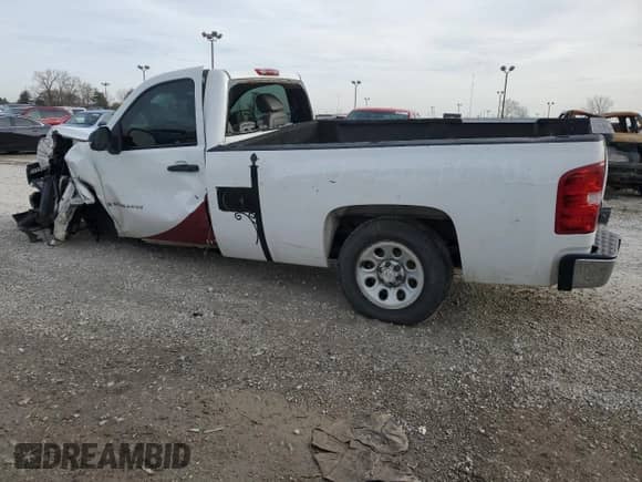 2009 Chevrolet Silverado 1500 Work Truck with VIN 1GCEC14X99Z212382, listed as a Copart auction lot 80115364 with Not provided miles and Salvage title. Bid and sale history available at DreamBid. Image 2.