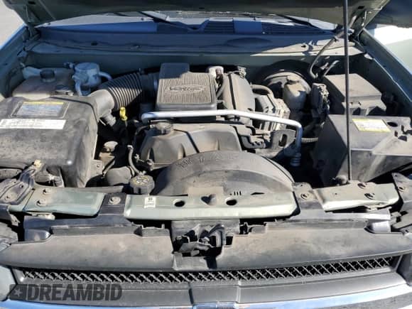 2004 Chevrolet TrailBlazer LS z VIN 1GNDT13S042157170, wystawiony jako Copart lot #84997275 z przebiegiem 203 657 mil mil oraz Szkoda całkowita • Salvage title. Historia ofert i sprzedaży dostępna na DreamBid. Obrazek 12.