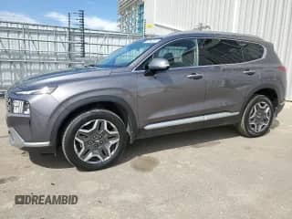 2021 Hyundai Santa Fe Limited with VIN KM8S5DA10MU003807, listed as a Copart auction lot 66336505 with 65,494 mi miles and Clean title. Bid and sale history available at DreamBid. Image 1.