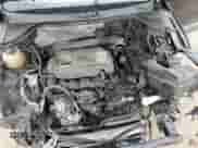 2013 Volkswagen Tiguan SE с VIN WVGAV7AXXDW523728, выставлен на аукционе Copart как лот 64116173 с пробегом 116 336 миль миль и Списание • Salvage title. История ставок и продаж доступна на DreamBid. Изображение 13.