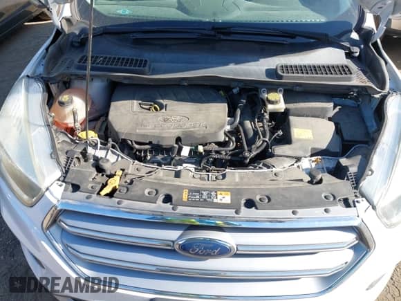 2017 Ford Escape SE with VIN 1FMCU9GD1HUA89219, listed as a IAAI auction lot 43335866 with 159,433 mi miles and . Bid and sale history available at DreamBid. Image 10.