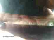 2008 Honda Accord LX-S with VIN 1HGCS12338A015099, listed as a IAAI auction lot 42378514 with 185,092 mi miles and . Bid and sale history available at DreamBid. Image 9.