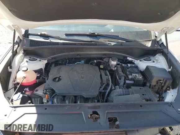 2021 Hyundai Santa Fe SEL с VIN 5NMS2DAJXMH349349, выставлен на аукционе Copart как лот 71460765 с пробегом 52 182 миль миль и На запчасти • Non repairable. История ставок и продаж доступна на DreamBid. Изображение 12.