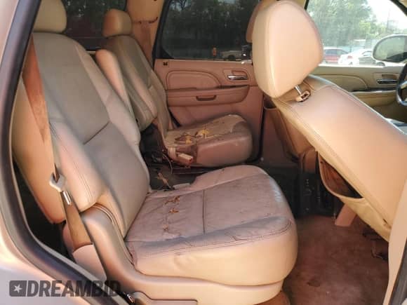 2009 Cadillac Escalade with VIN 1GYFK13299R164664, listed as a Copart auction lot 53430875 with 233,078 mi miles and Salvage title. Bid and sale history available at DreamBid. Image 11.