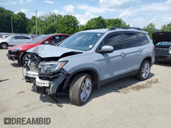 2024 Honda Passport EX-L with VIN 5FNYF8H54RB007175, listed as a Copart auction lot 66188065 with 20,119 mi miles and Salvage title. Bid and sale history available at DreamBid. Image 1.
