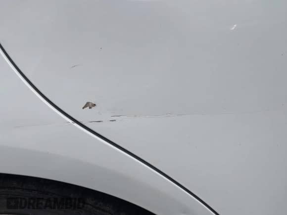 2011 Lexus IS 250 z VIN JTHCF5C26B2035296, wystawiony jako IAAI lot #42469561 z przebiegiem 180 609 mil mil oraz . Historia ofert i sprzedaży dostępna na DreamBid. Obrazek 20.