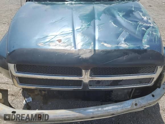 1999 Dodge 2500 with VIN 3B7KF2360XG203981, listed as a Copart auction lot 62489195 with Not provided miles and Salvage title. Bid and sale history available at DreamBid. Image 11.