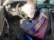 2013 Honda Accord LX-S with VIN 1HGCT1B36DA008297, listed as a Copart auction lot 80485275 with 255,628 mi miles and Salvage title. Bid and sale history available at DreamBid. Image 8.