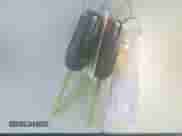 2014 Ford Escape SE with VIN 1FMCU0GX9EUA94394, listed as a IAAI auction lot 43392846 with 131,570 mi miles and . Bid and sale history available at DreamBid. Image 11.