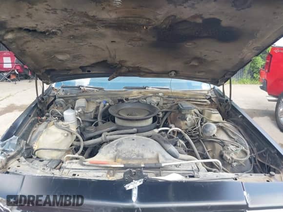 1983 Chevrolet Caprice с VIN 1G1AN69HXDX124459, выставлен на аукционе IAAI как лот 42694260 с пробегом 50 314 миль миль и . История ставок и продаж доступна на DreamBid. Изображение 10.