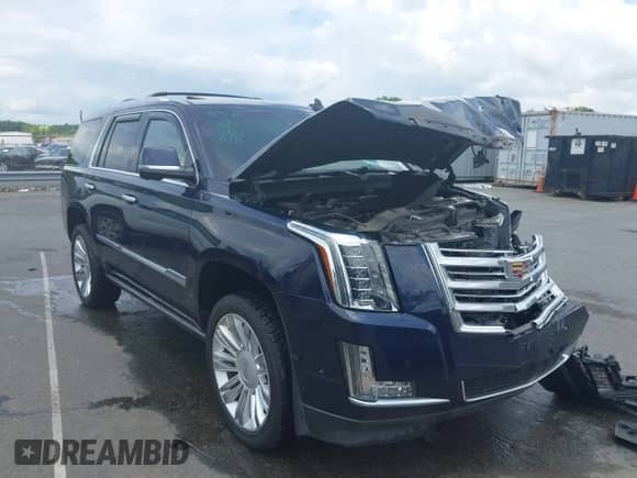 2017 Cadillac Escalade Platinum with VIN 1GYS4DKJ6HR150478, listed as a IAAI auction lot 42507917 with 123,083 mi miles and . Bid and sale history available at DreamBid. Image 1.