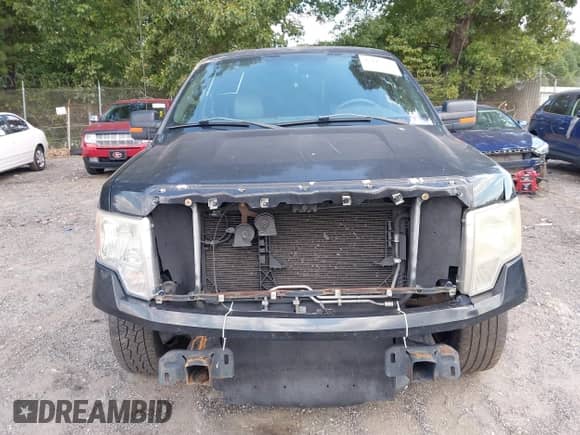 2010 Ford F-150 XL with VIN 1FTEX1C80AKE49905, listed as a IAAI auction lot 43115523 with 203,656 mi miles and . Bid and sale history available at DreamBid. Image 12.