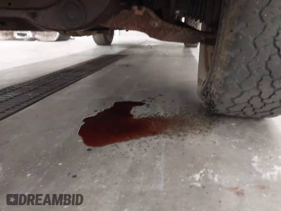 1997 Ford F-150 z VIN 1FTEX08L4VKB73578, wystawiony jako IAAI lot #43313532 z przebiegiem 231 592 mil mil oraz . Historia ofert i sprzedaży dostępna na DreamBid. Obrazek 13.